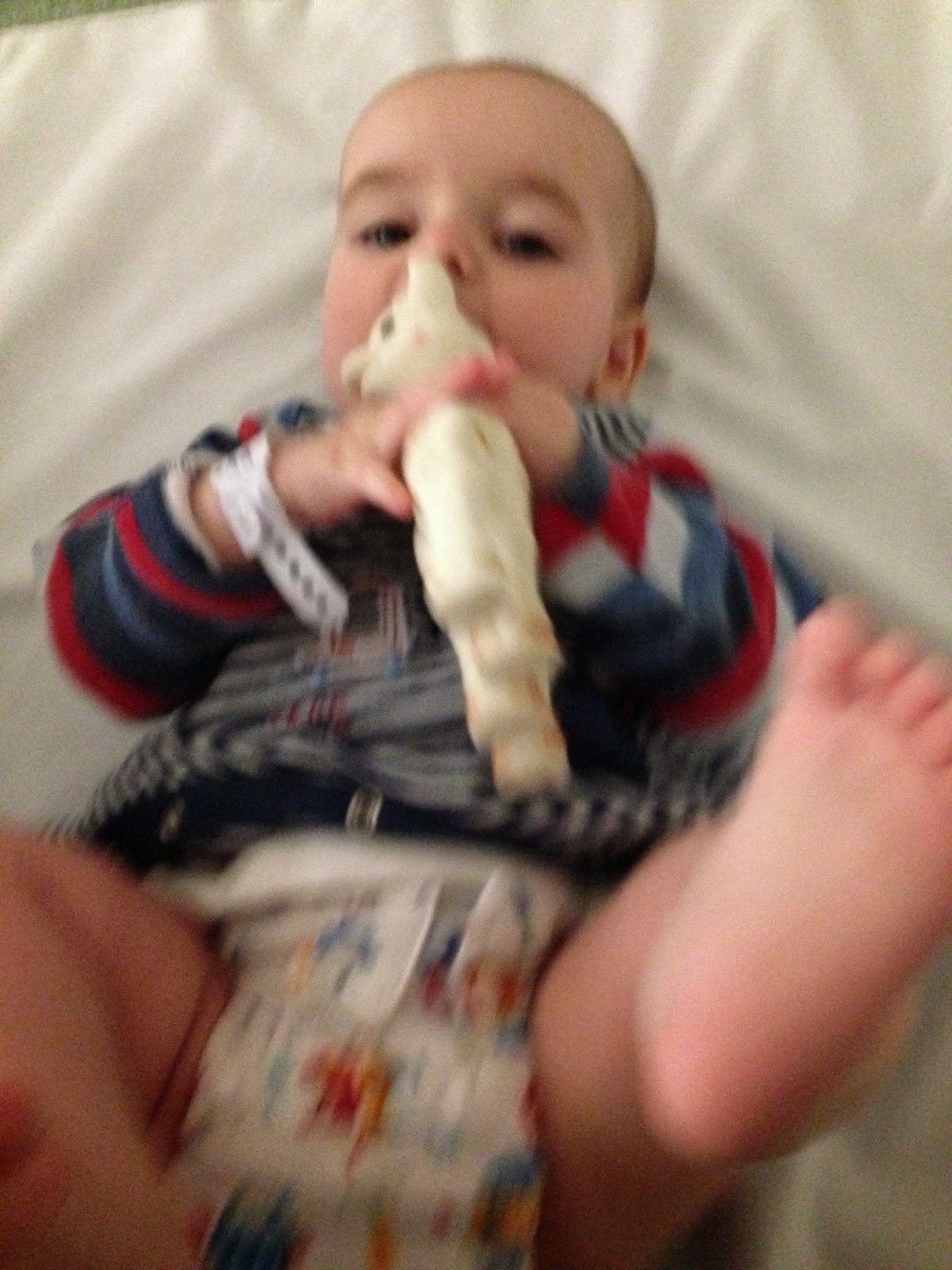 playing with sophie the giraffe
