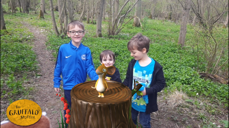 Fineshade Woods
