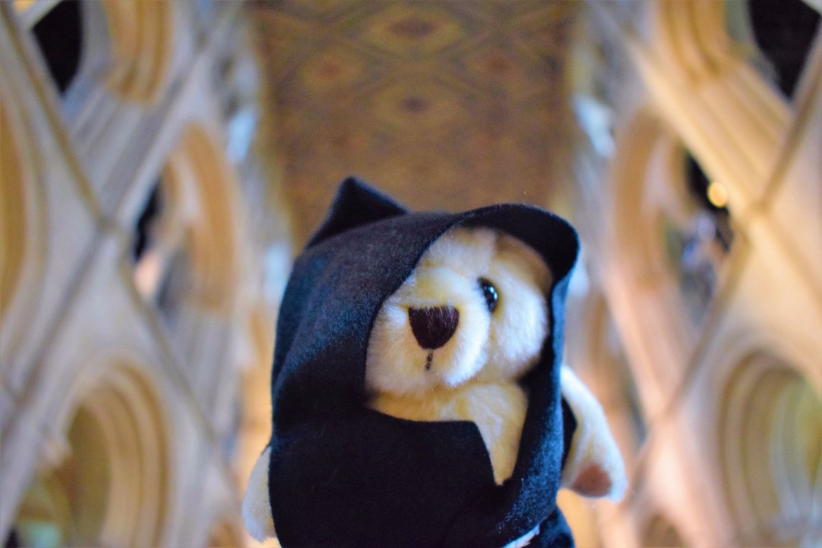 Peterborough Cathedral Explorer Backpacks