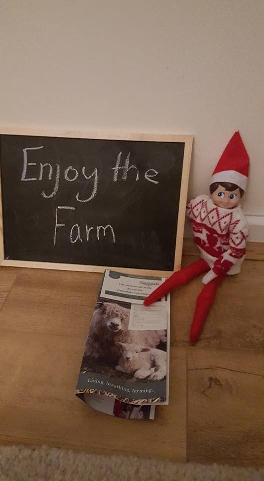 Elf on the Shelf