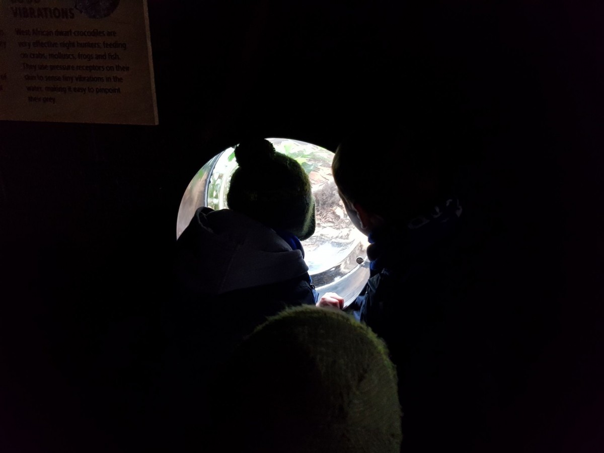 Whipsnade Zoo