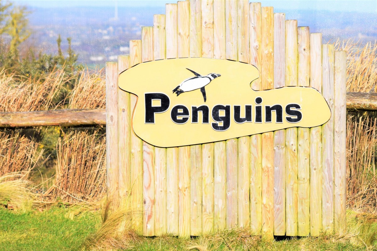 Whipsnade Zoo