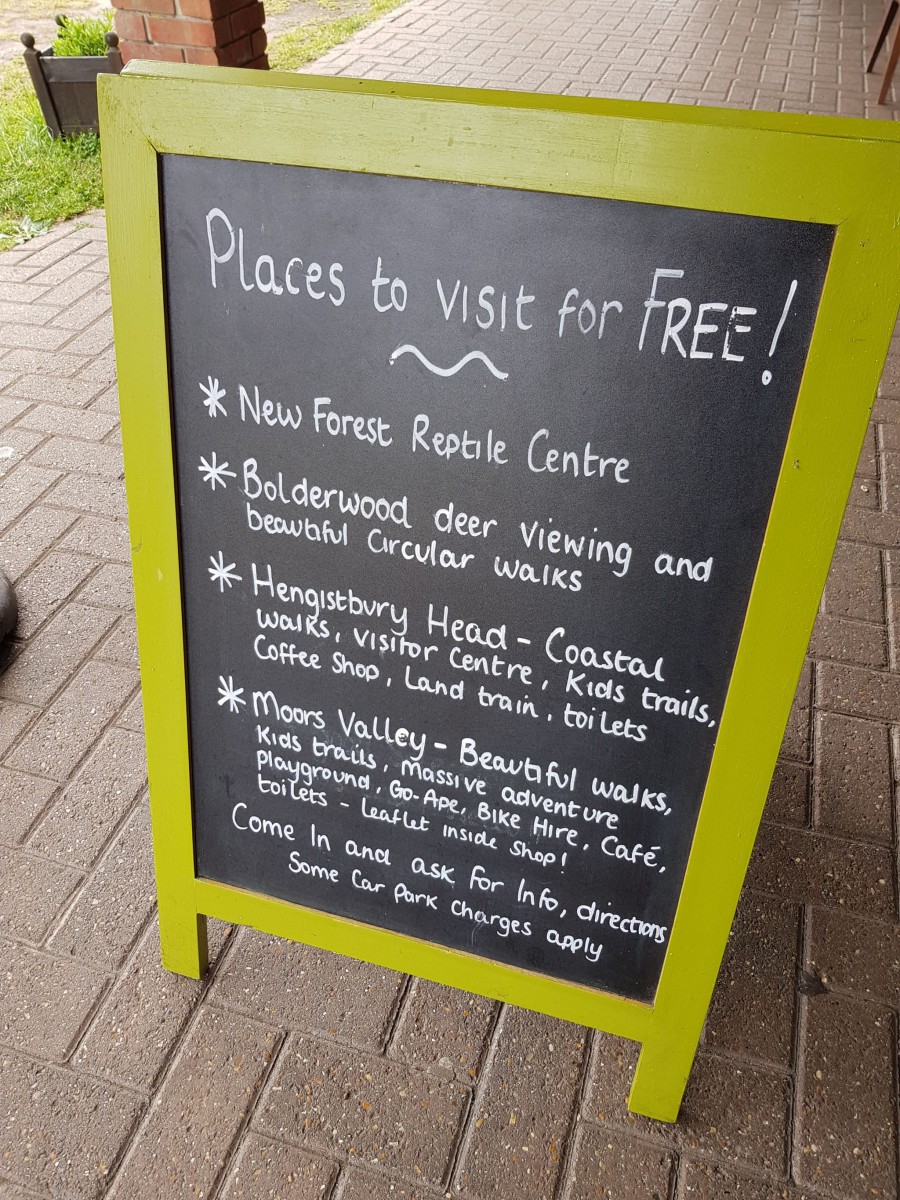 Holmsley Camping and Caravanning Club Site