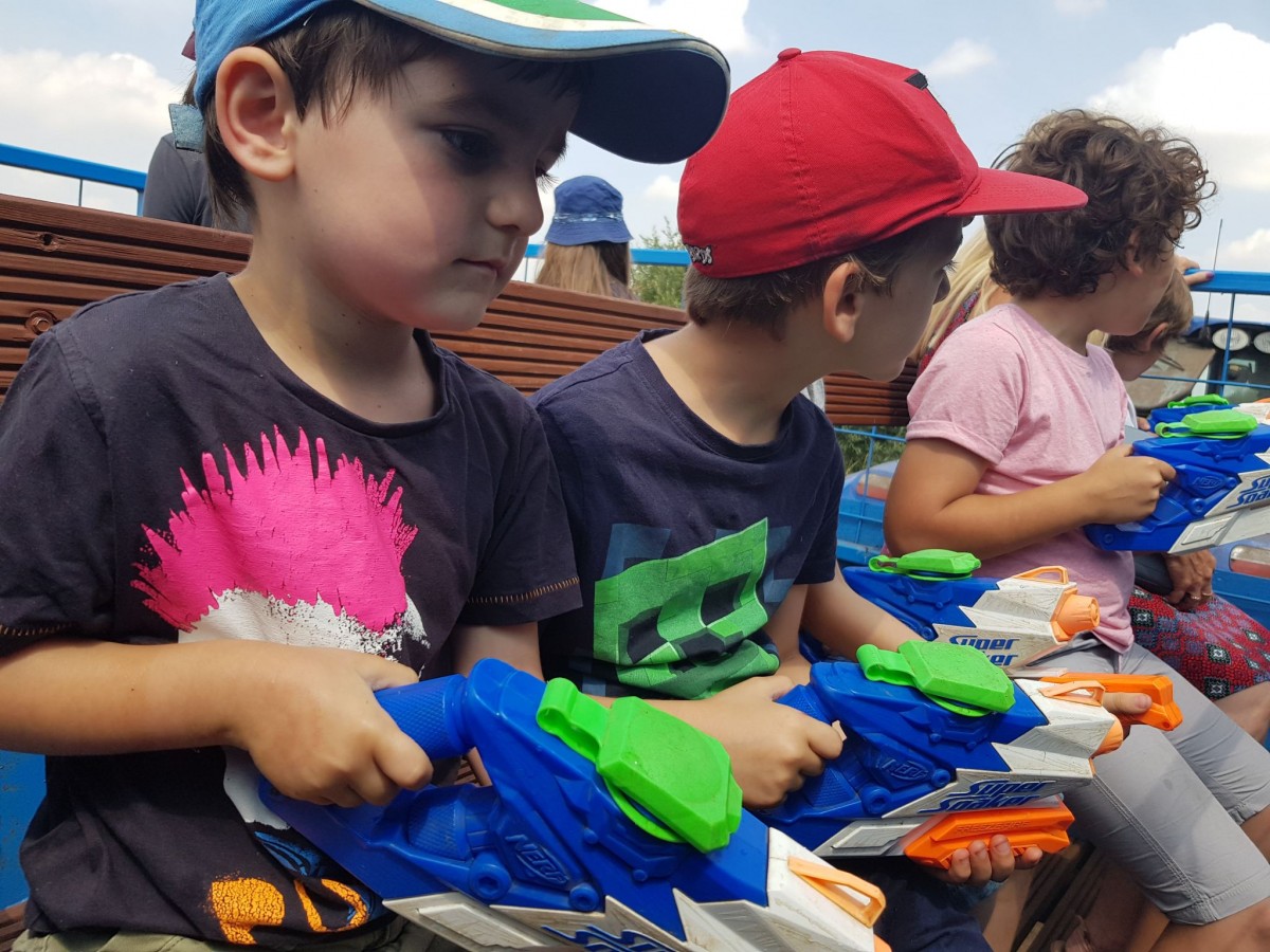 Skylark Maize Maze