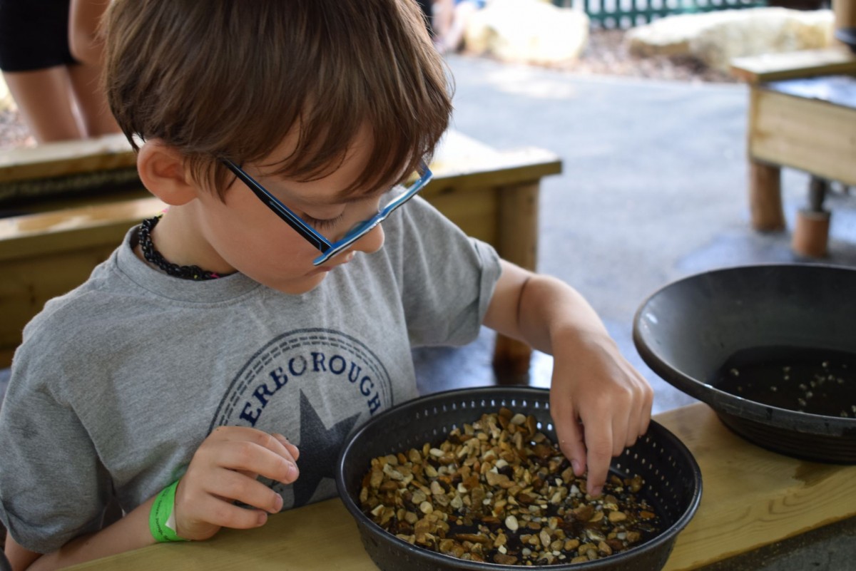 Goldie's Gold Mine at Springfields Adventureland