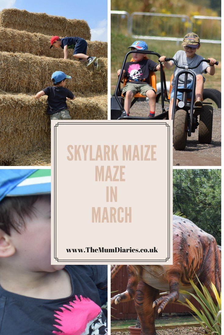 Skylark Maize Maze