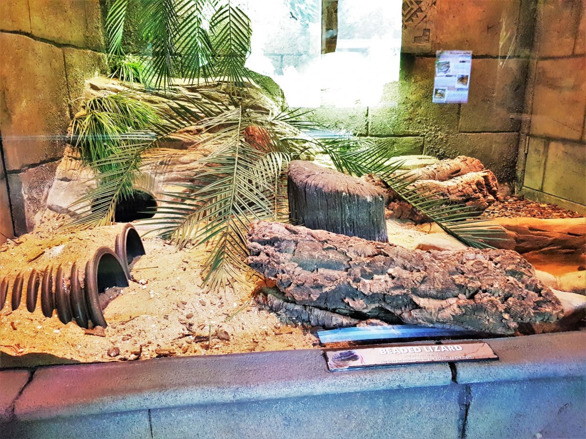Paradise Wildlife Park