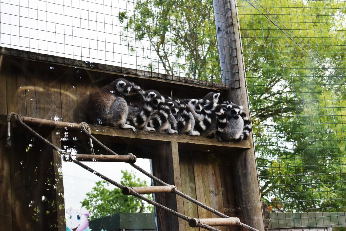 Paradise Wildlife Park