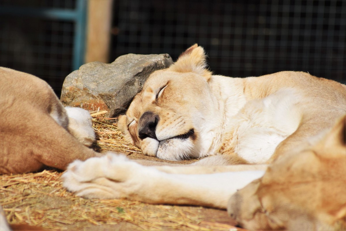 Paradise Wildlife Park