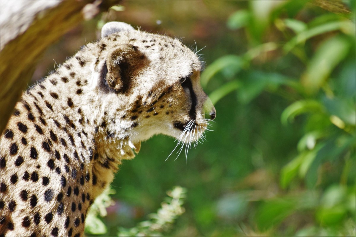 Paradise Wildlife Park