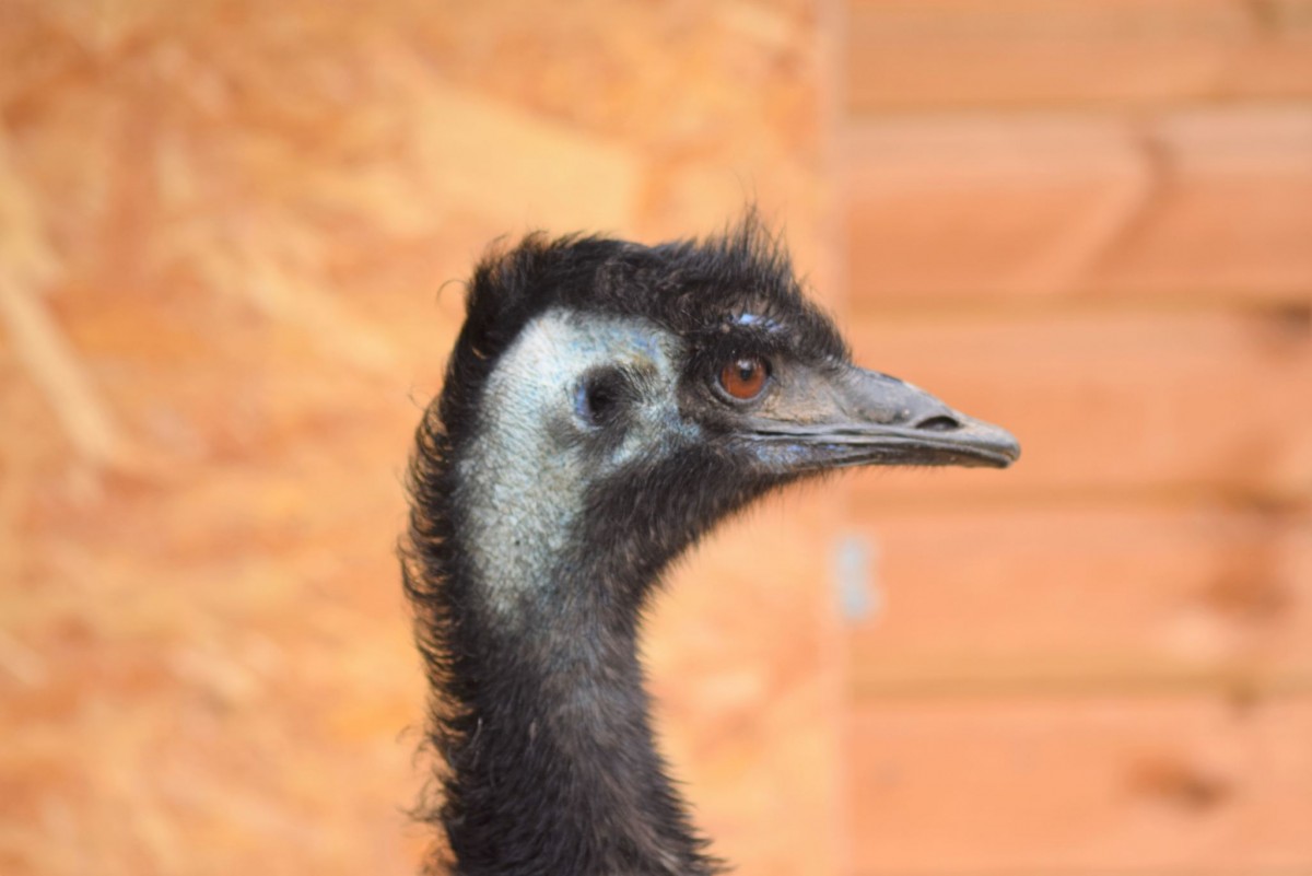 Paradise Wildlife Park