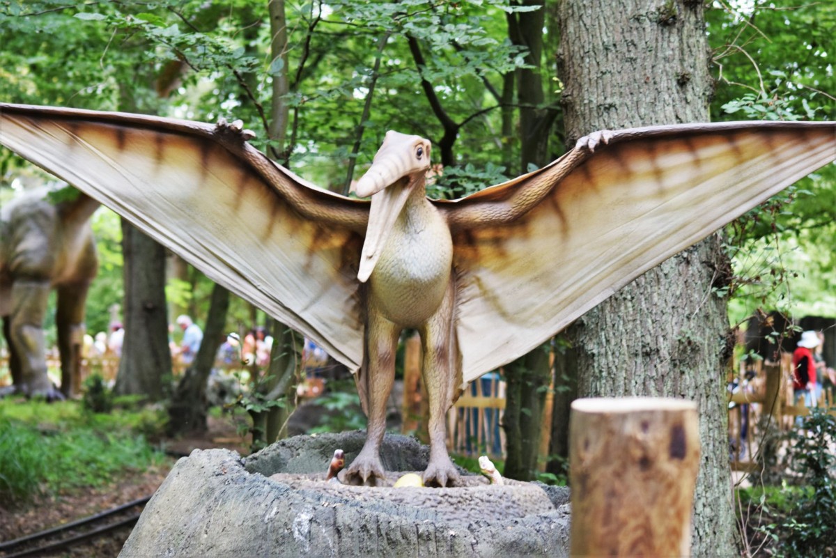 Paradise Wildlife Park