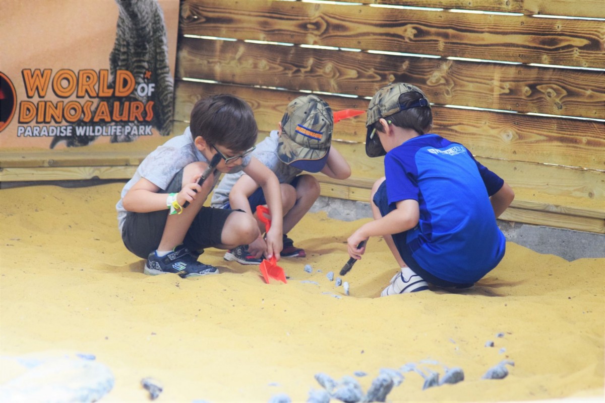 Paradise Wildlife Park