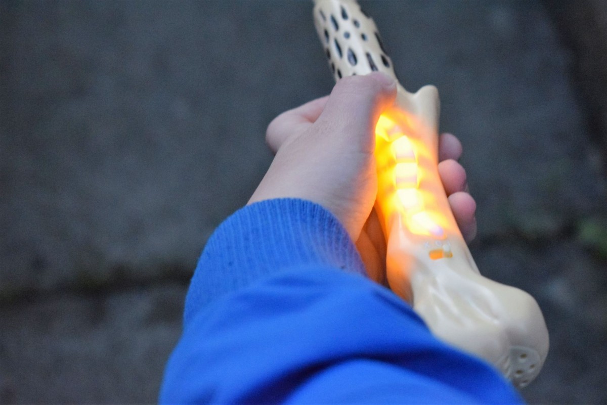 Wizard Wand Training