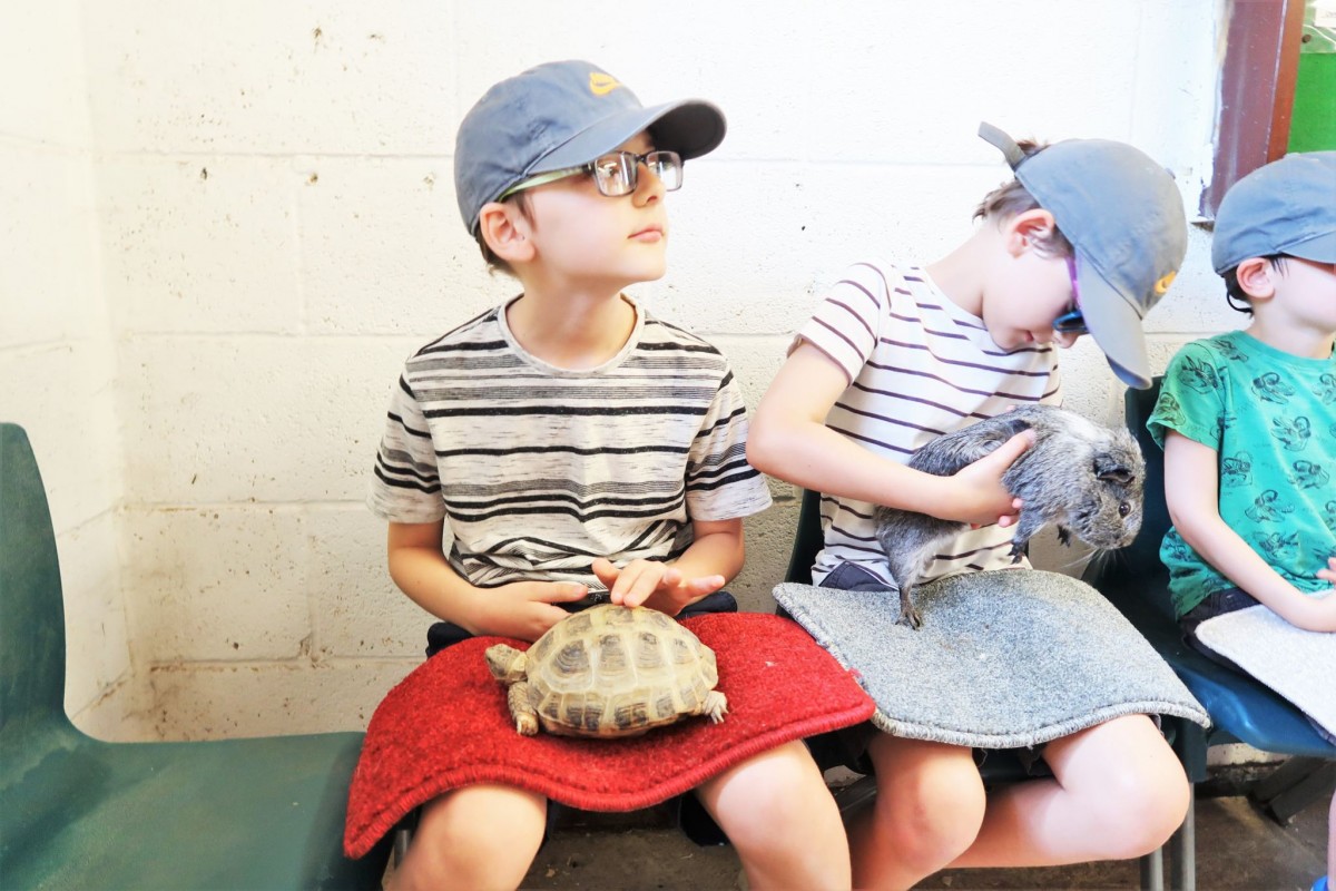 Gifted | Our day at Matlock Farm Park